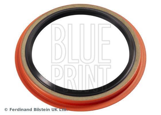 BLUE PRINT Veleno sandariklis, rato guolis