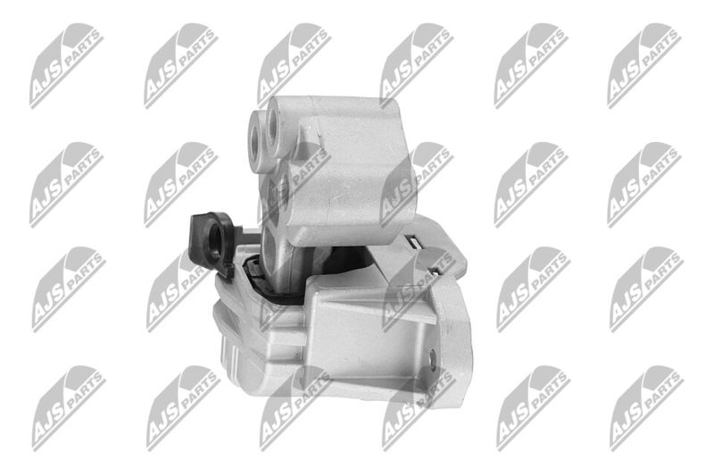 Paigutus, Mootor, NTY ZPS-CH-134