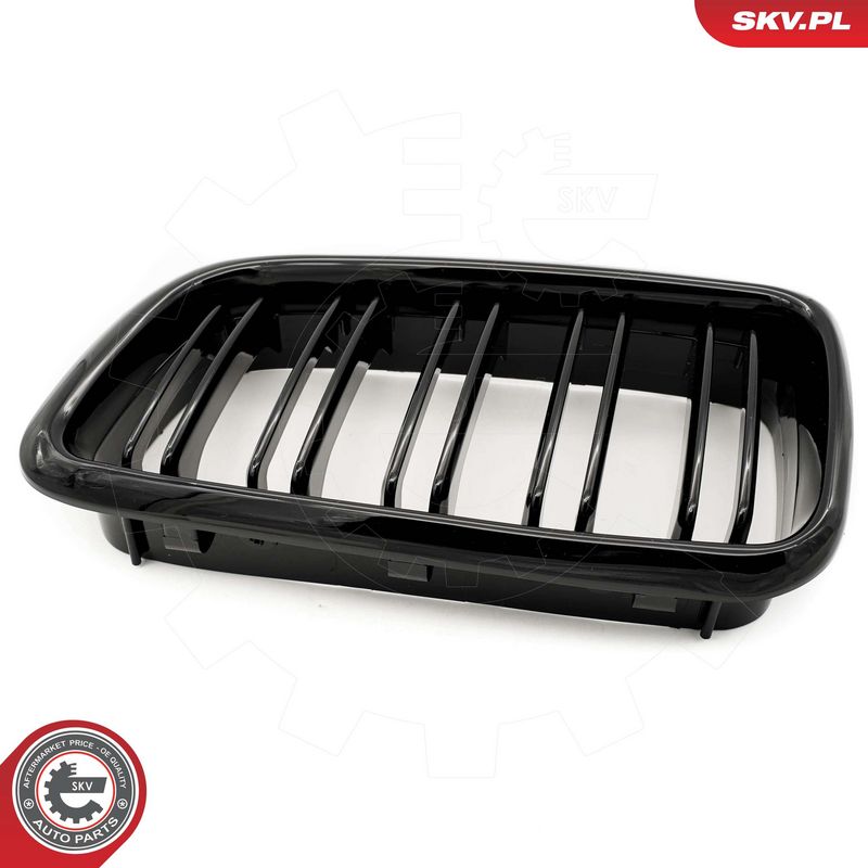 Radiaatorivõre, ESEN SKV 66SKV216