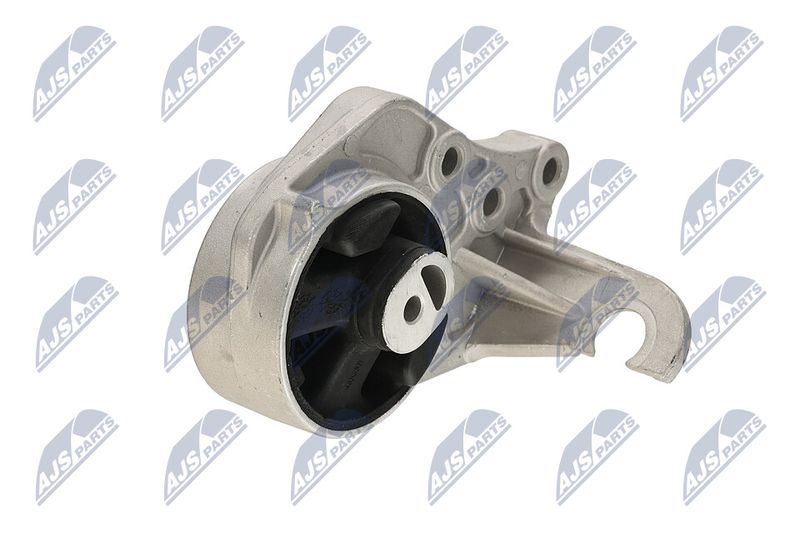 Paigutus, Mootor, NTY ZPS-CH-113