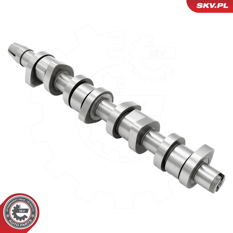 Nukkvõll, ESEN SKV 80SKV008