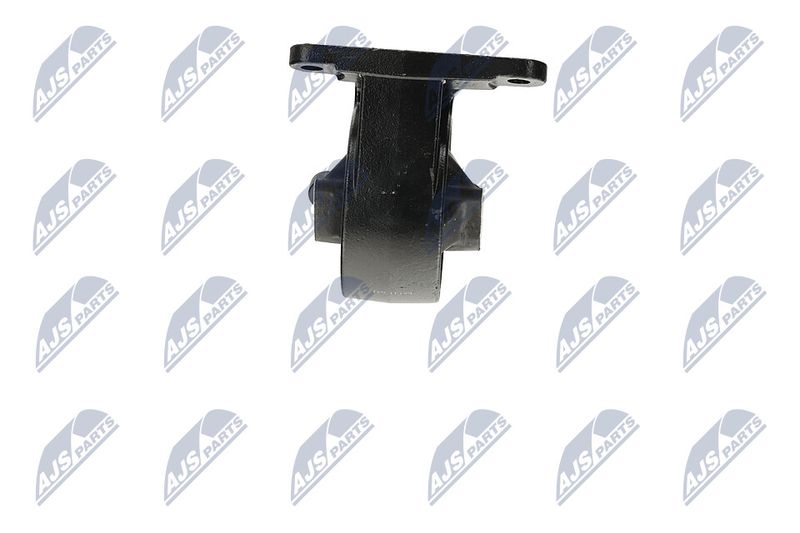 Paigutus, Mootor, NTY ZPS-CH-006