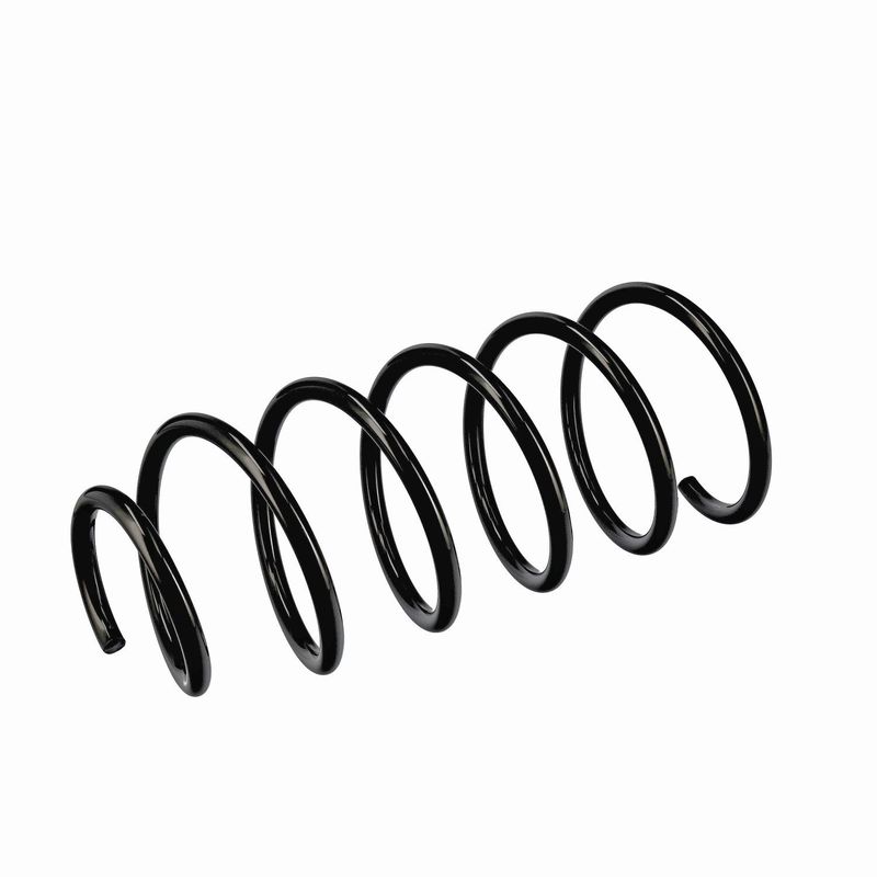 EIBACH R11016 Pakabos spyruoklė