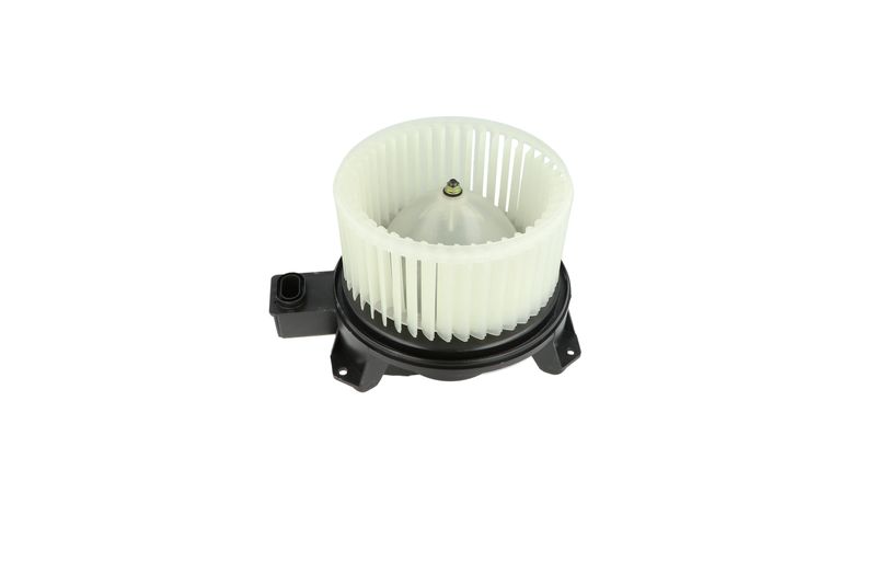 Salongipuhur, NRF 34345