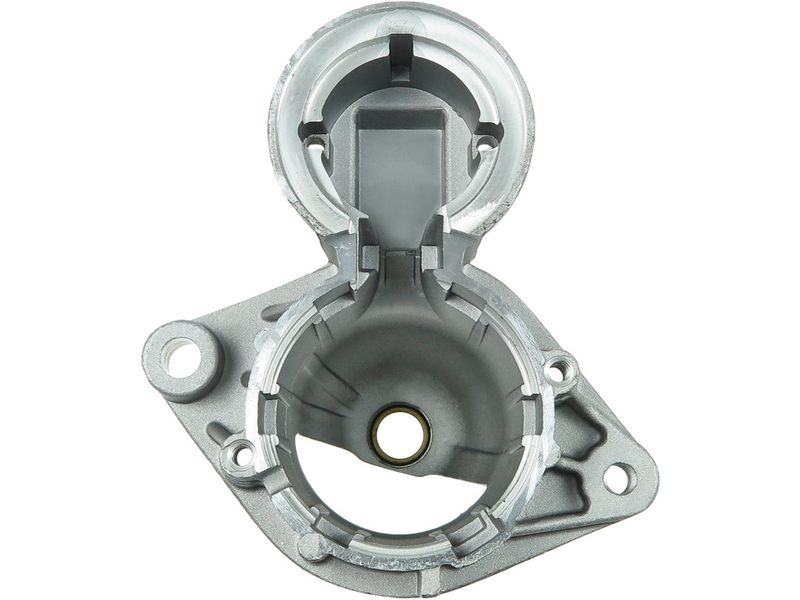 Starterikaas, Karburaator, AS-PL SBR3013