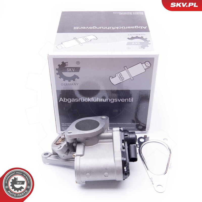 EGR-klapp, ESEN SKV 14SKV168