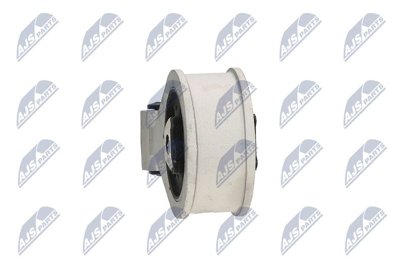Paigutus, Mootor, NTY ZPS-NS-062