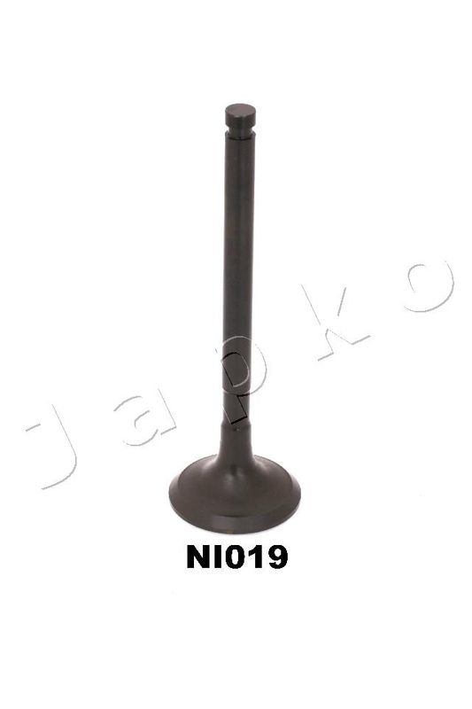 5NI019_1.JPG