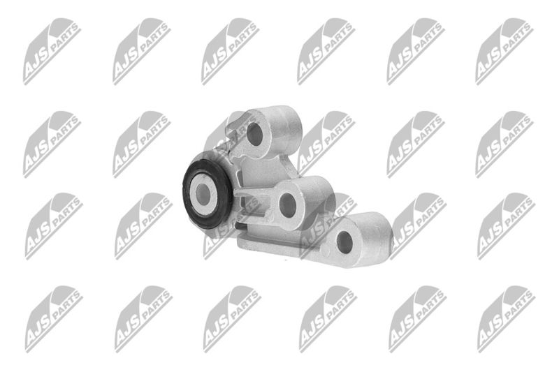 Paigutus, Mootor, NTY ZPS-CH-120