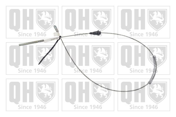 QH_BC2419.JPG