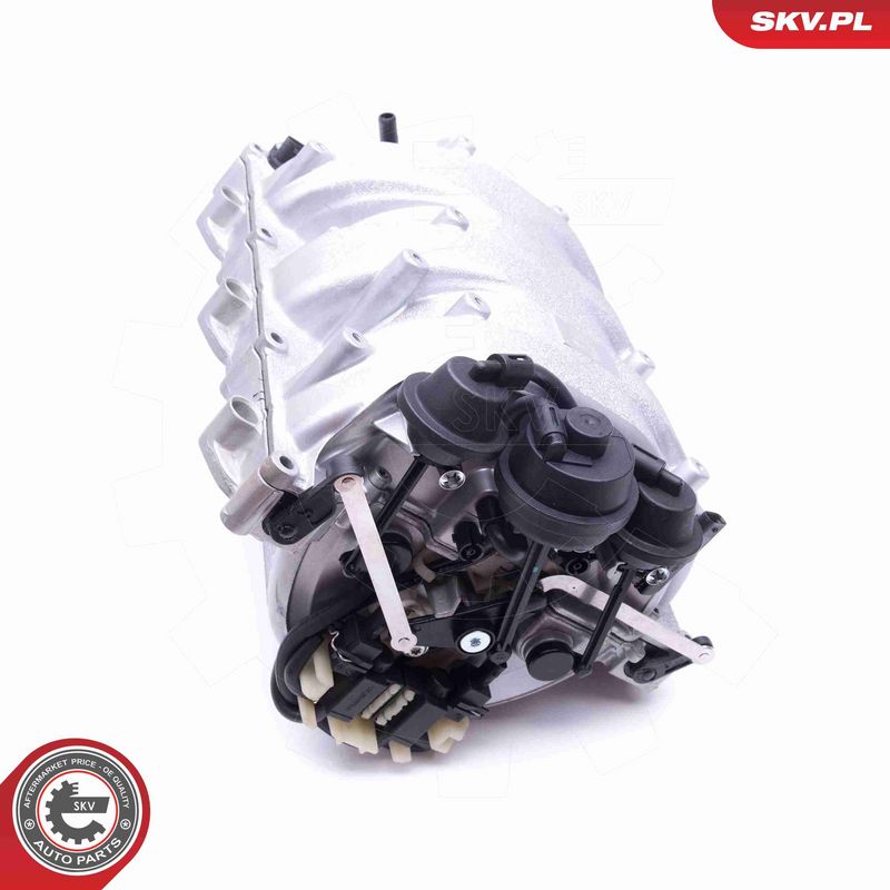 ESEN SKV 49SKV013 Intake Manifold Module