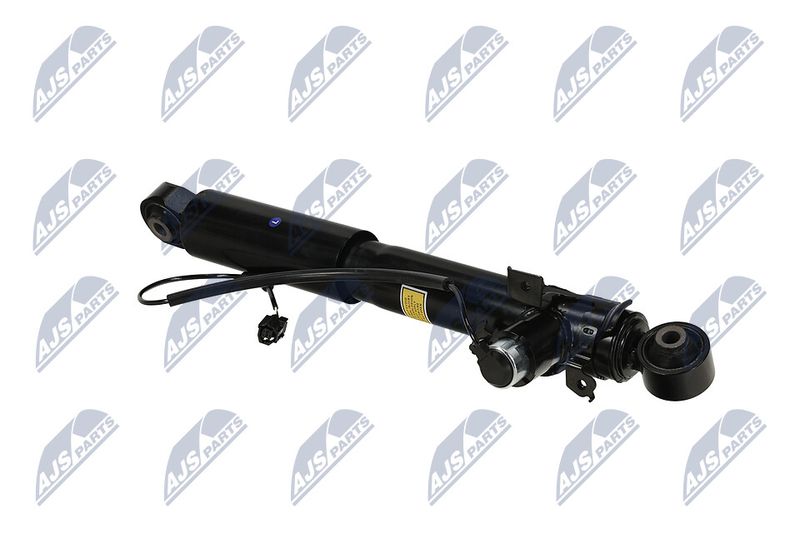 Amort, NTY A-TY-095
