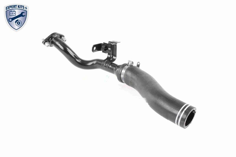 VAICO V24-0722 Charge Air Hose