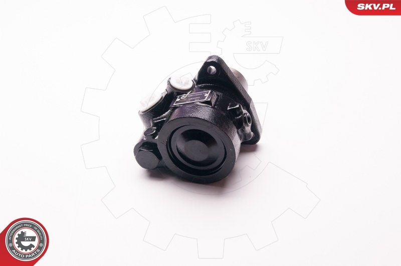 ESEN SKV 1SKV0011 Hydraulic Pump, steering
