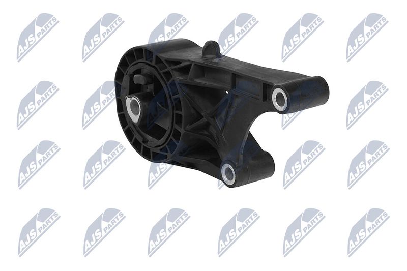 Paigutus, Mootor, NTY ZPS-PL-047