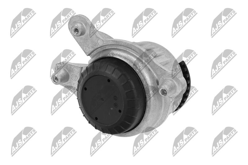 Paigutus, Mootor, NTY ZPS-ME-018