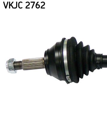 VKJC 2762_2.JPG