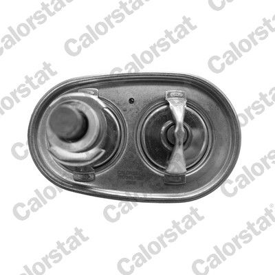 Termostat, chladivo TH7540.89.96J