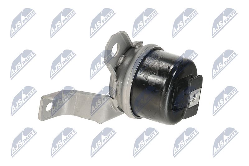 Paigutus, Mootor, NTY ZPS-LR-003