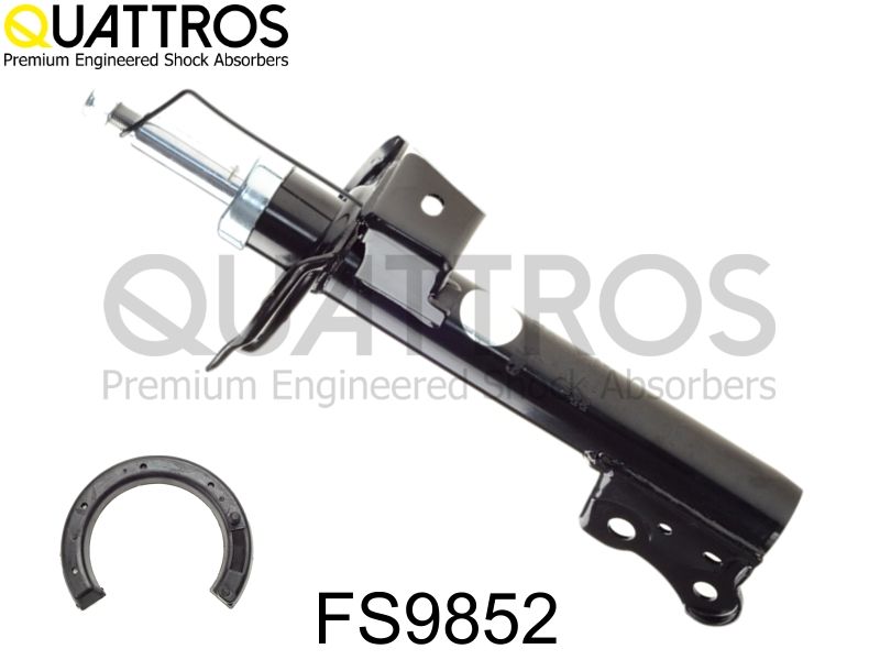 fs9852_1.JPG