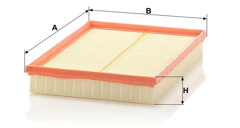 MANN-FILTER C30125/1 Air Filter