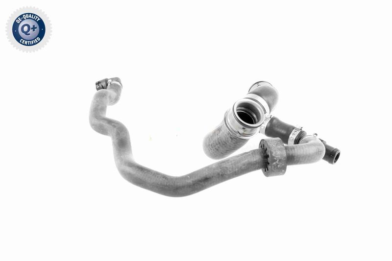VAICO V30-2905 Radiator Hose