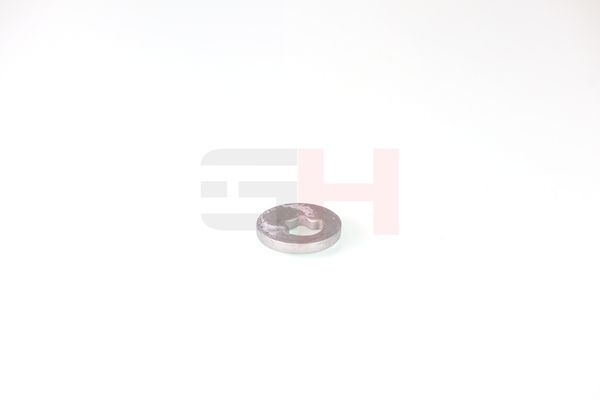 caster shim, sillatala, GH GH-391582