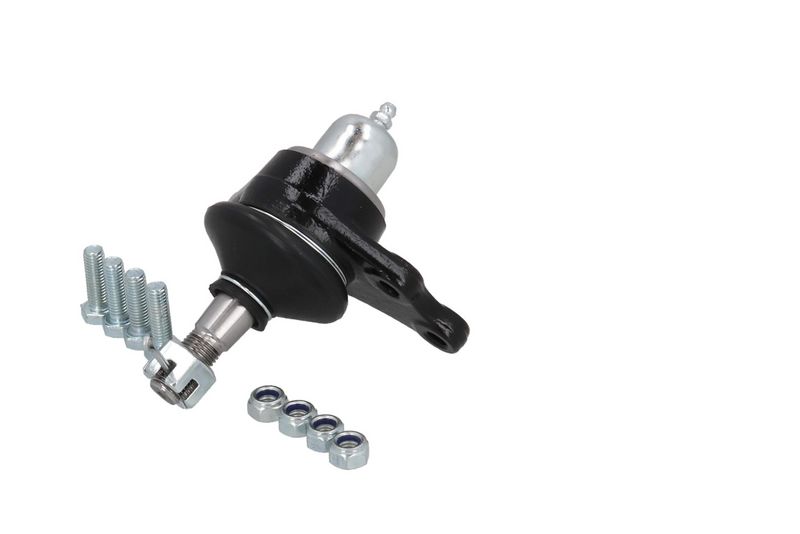 Kande-, juhtliigend, KAMOKA...