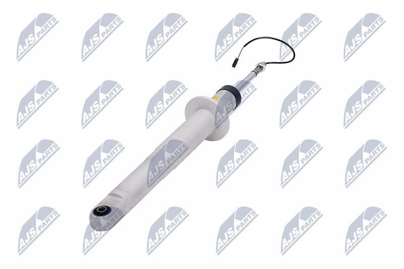 Amort, NTY A-MA-003