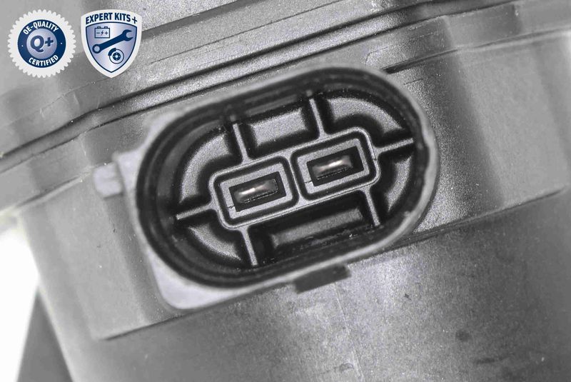 V10-77-1026_03.JPG