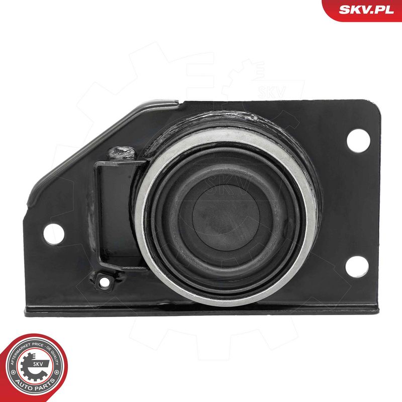 Paigutus, Mootor, ESEN SKV 75SKV277