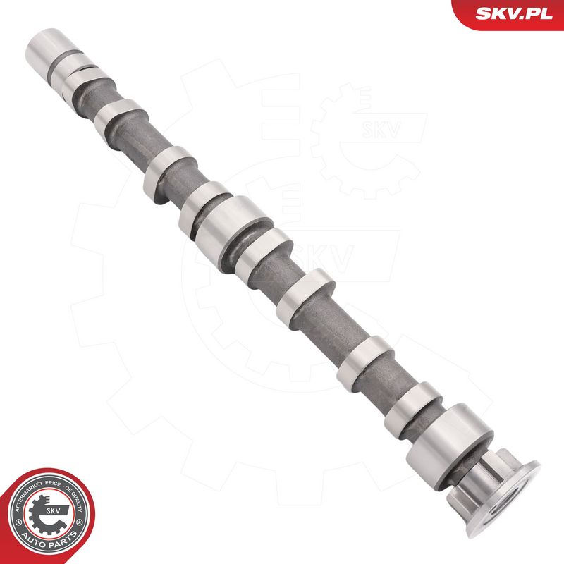 Nukkvõll, ESEN SKV 80SKV035