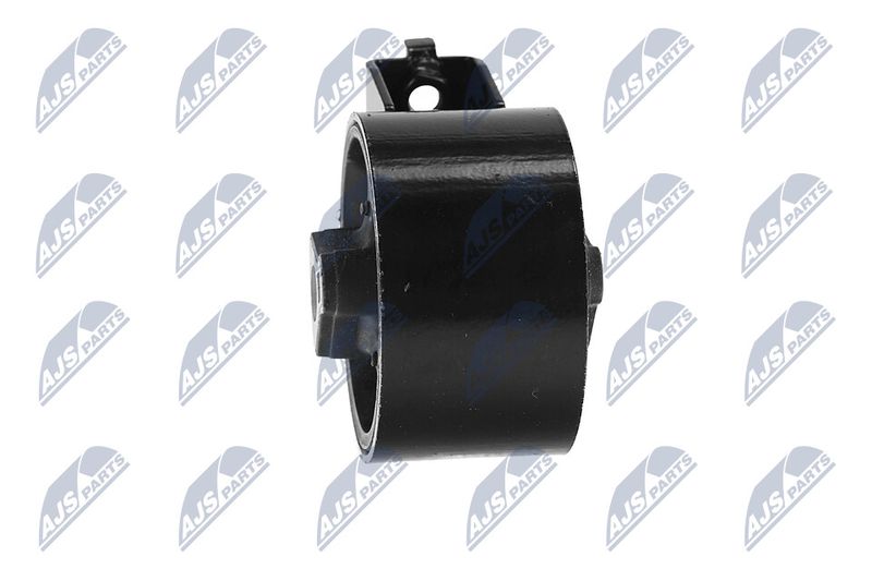 Paigutus, Mootor, NTY ZPS-CH-054