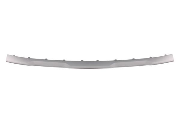 BLIC 5703-05-3184920P Trim/Protection Strip, bumper