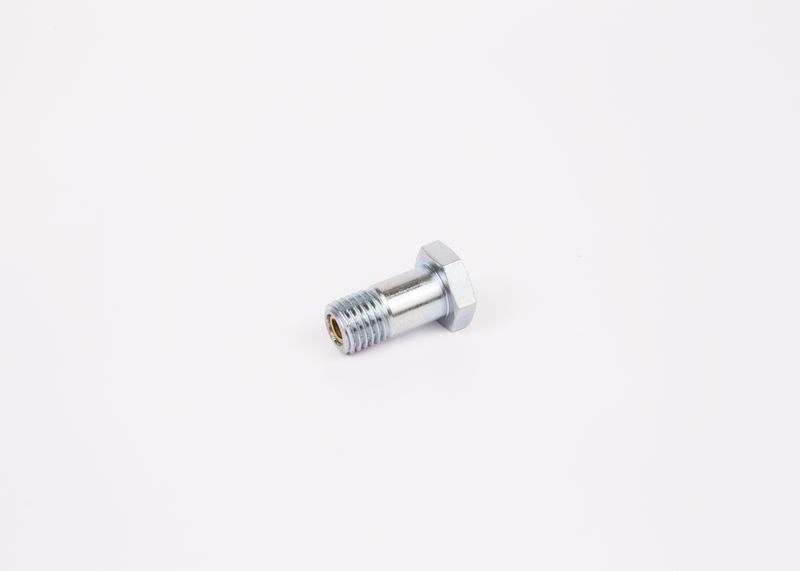 Surub 1 463 456 344 BOSCH