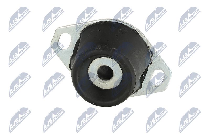 Paigutus, Mootor, NTY ZPS-PE-005