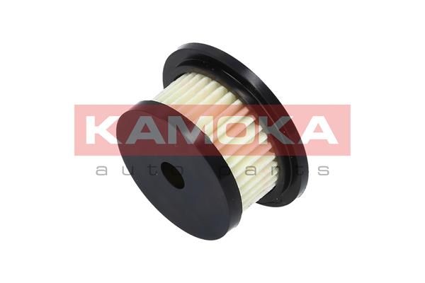 F701801_A.JPG