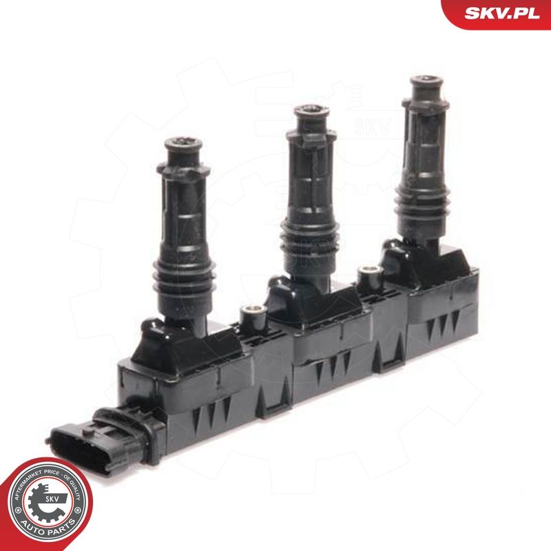 Süütepool, ESEN SKV 03SKV022