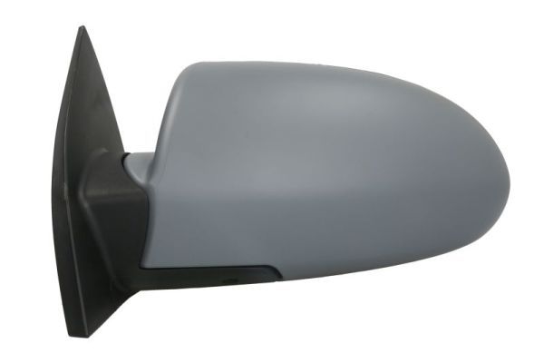 BLIC 5402-20-2001359P Exterior Mirror