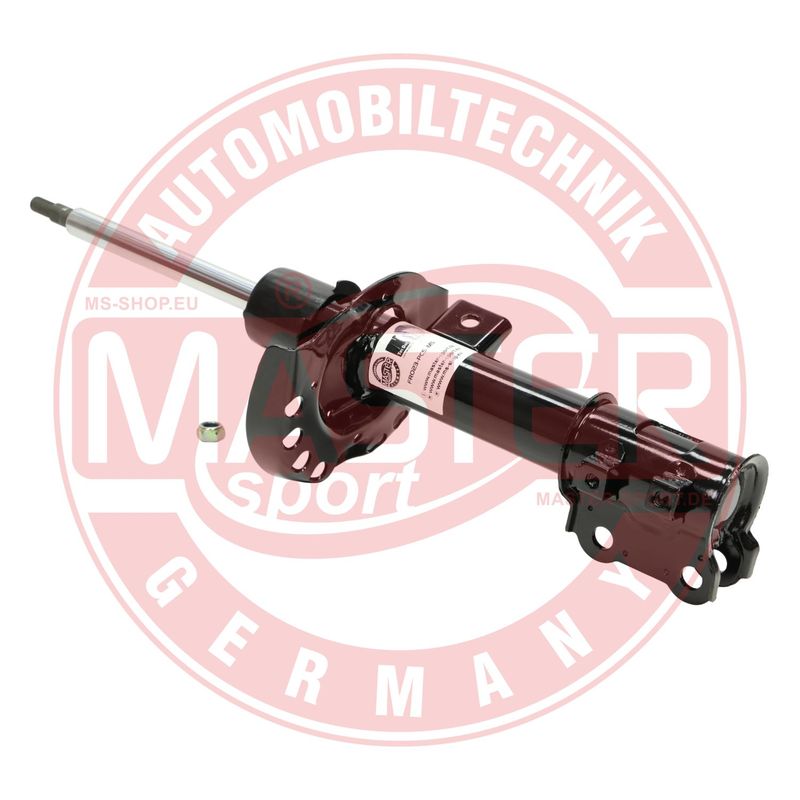 FR023-PCS-MS (2).JPG