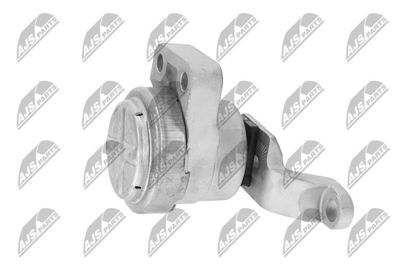 Paigutus, Mootor, NTY ZPS-FR-033