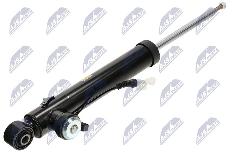 Amort, NTY A-PL-065