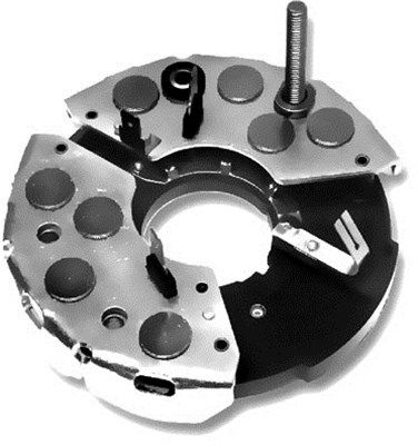 DDF_AMP1677_WR.JPG