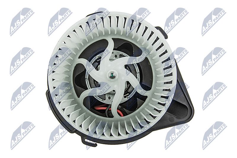 Salongipuhur, NTY EWN-WW-004