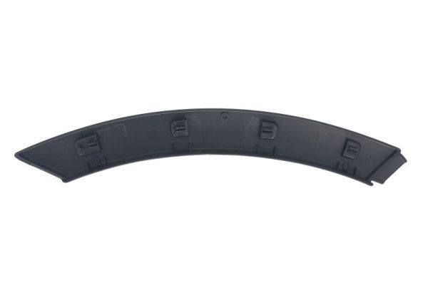 BLIC 5703-04-6456573P Trim/Protection Strip, door