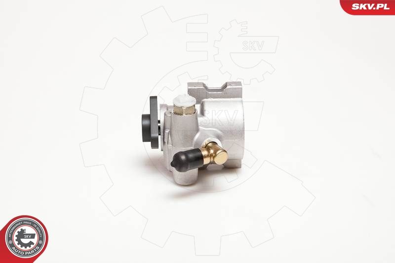 ESEN SKV 10SKV053 Hydraulic Pump, steering