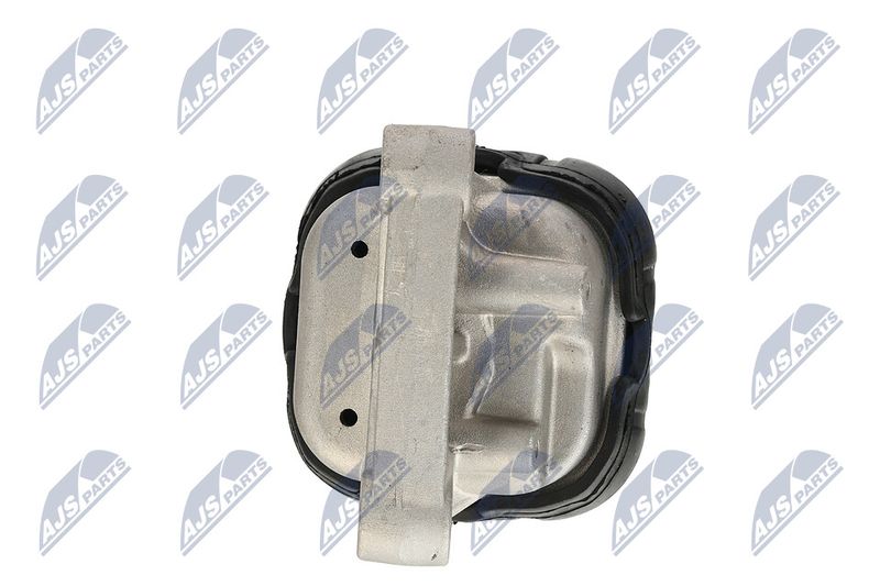 Paigutus, Mootor, NTY ZPS-CH-019