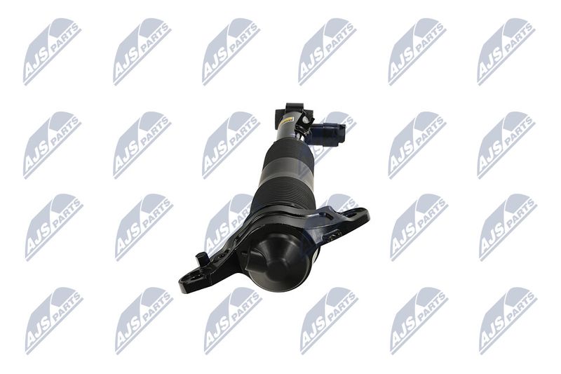 Amort, NTY A-LR-036