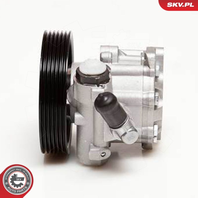 Hüdraulikapump, roolimine, ESEN SKV 10SKV098