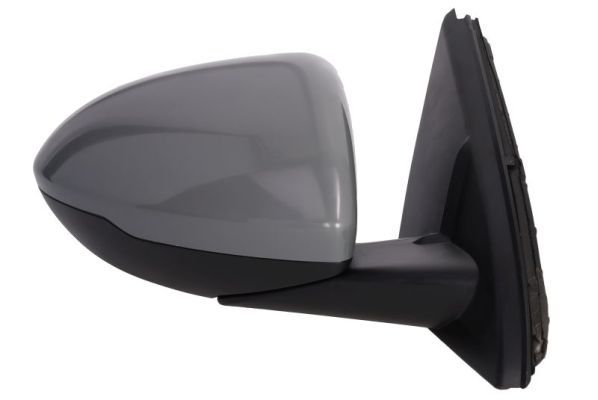 BLIC 5402-04-1785317P Exterior Mirror